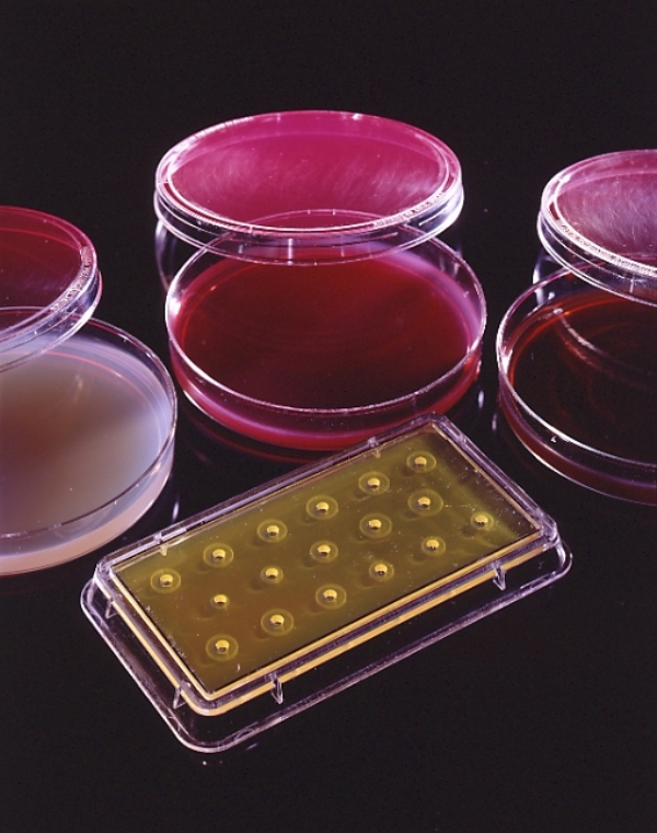 Laboratory-1