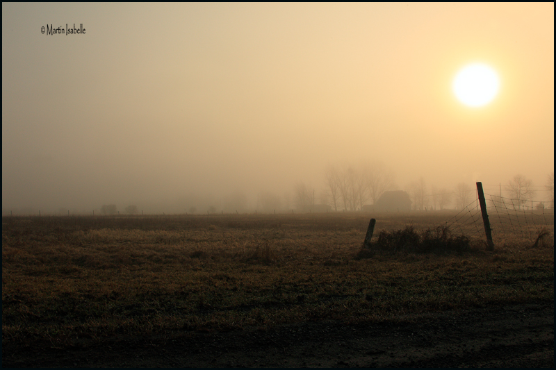 _40C2231 Lundi matin a Lile Amherst .jpg