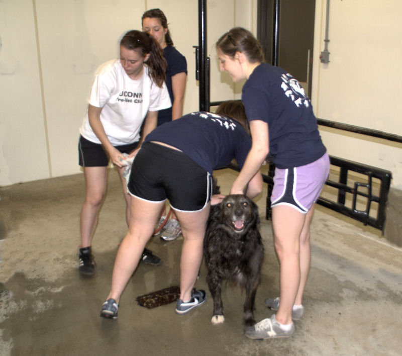 Dog Ashley Getting The Attention She Deserves