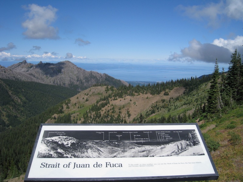 Backside Hurricane Ridge View 3