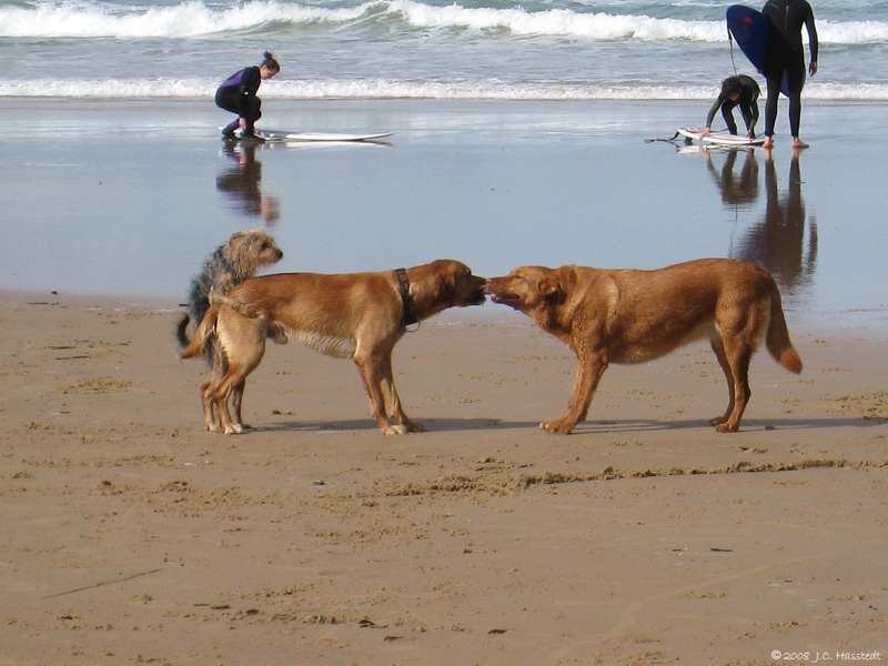 Tug-of-war with help(?)