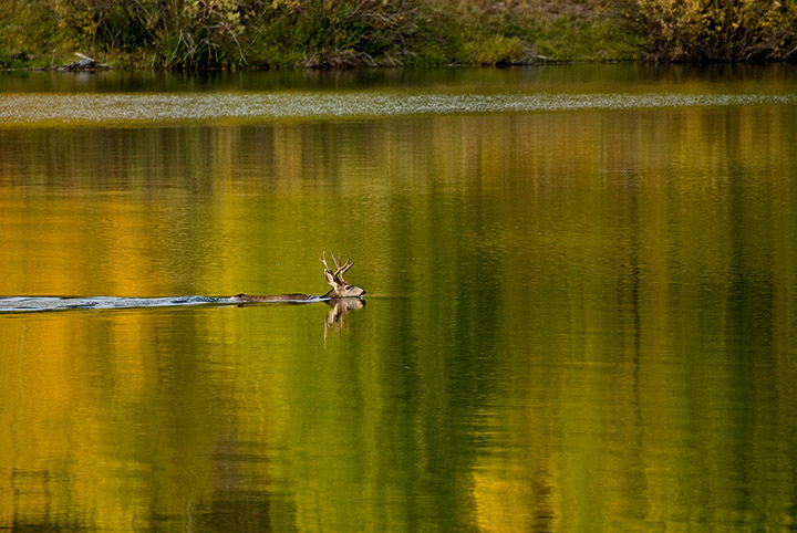 070918162.jpg