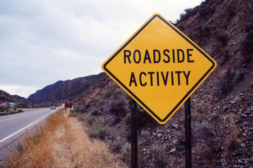 Roadside Activity (Near Penasco, NM)