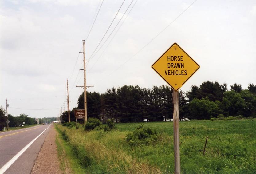 Horse Drawn Vehicle