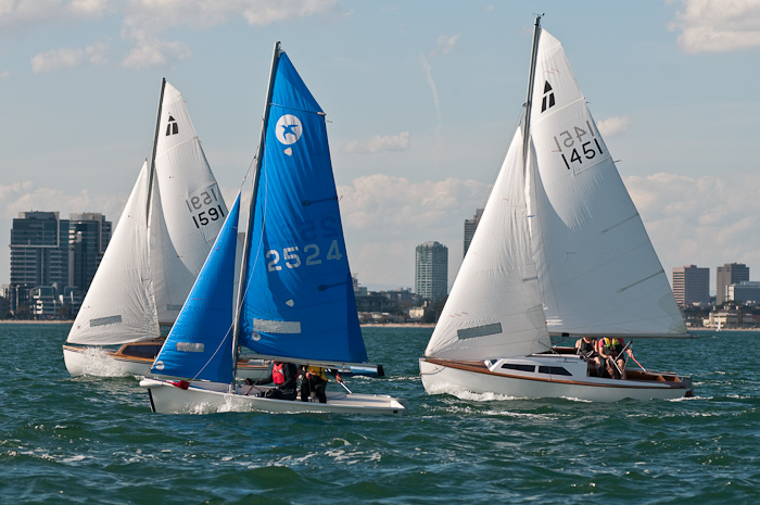 DSC_5655.jpg
