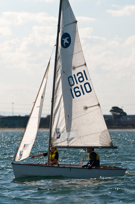 DSC_5932.jpg