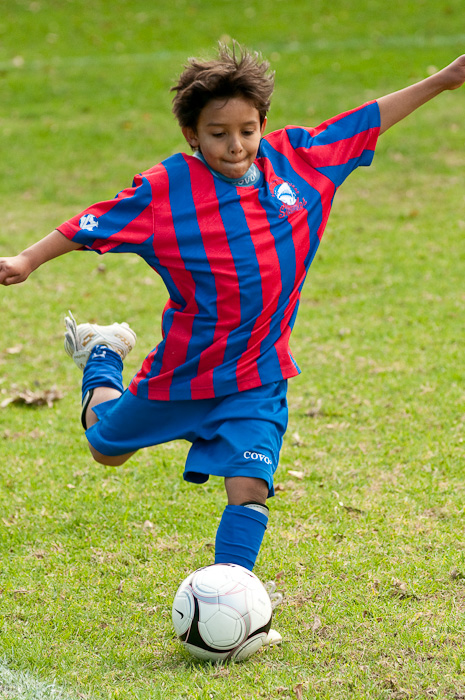 DSC_7720.jpg