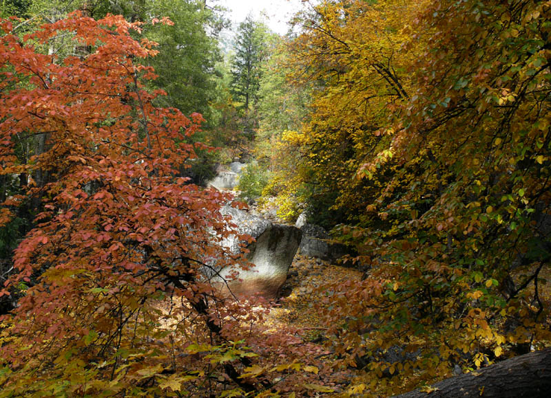 Tenaya Creek