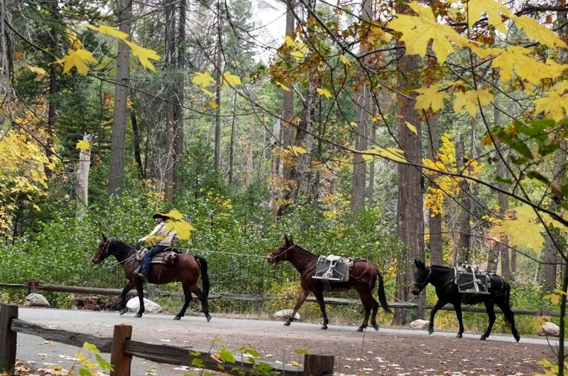 Trail crew leaves Happy Isles