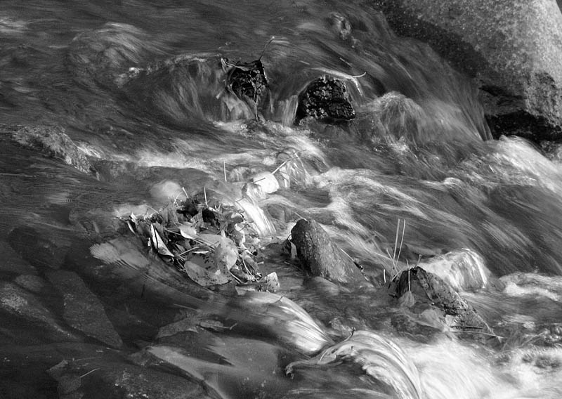 Leaves and flow