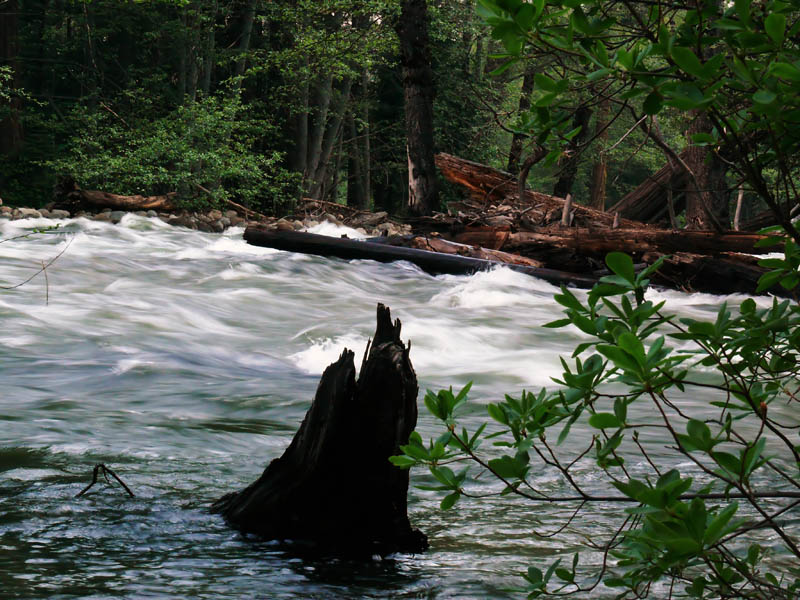 Merced River