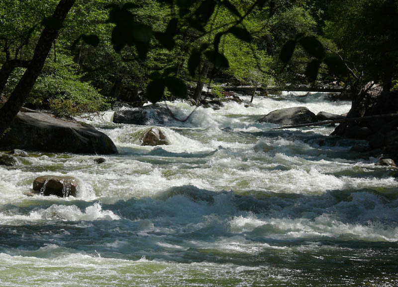 Rapid rapids