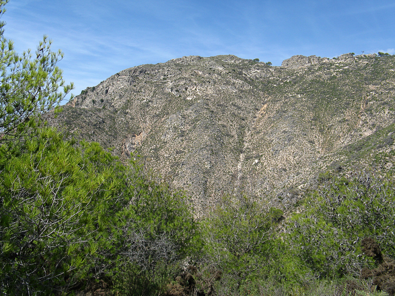 El Fuerte