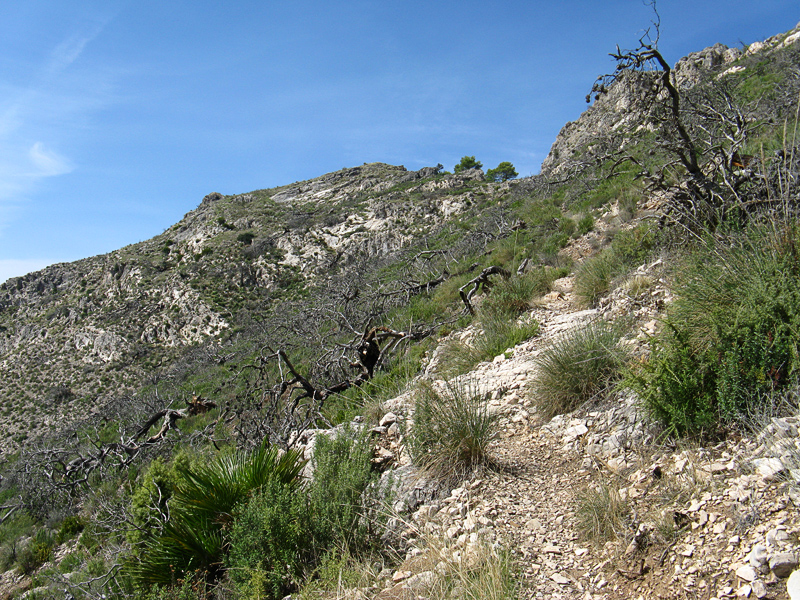 El Fuerte