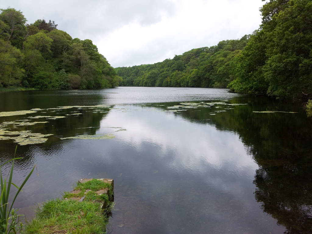 Pressmennan Wood