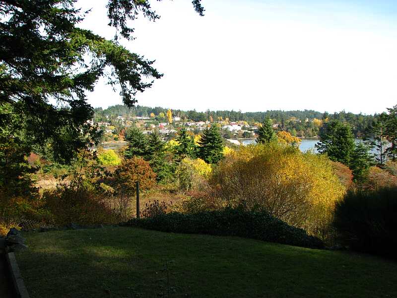 View from her terrace.