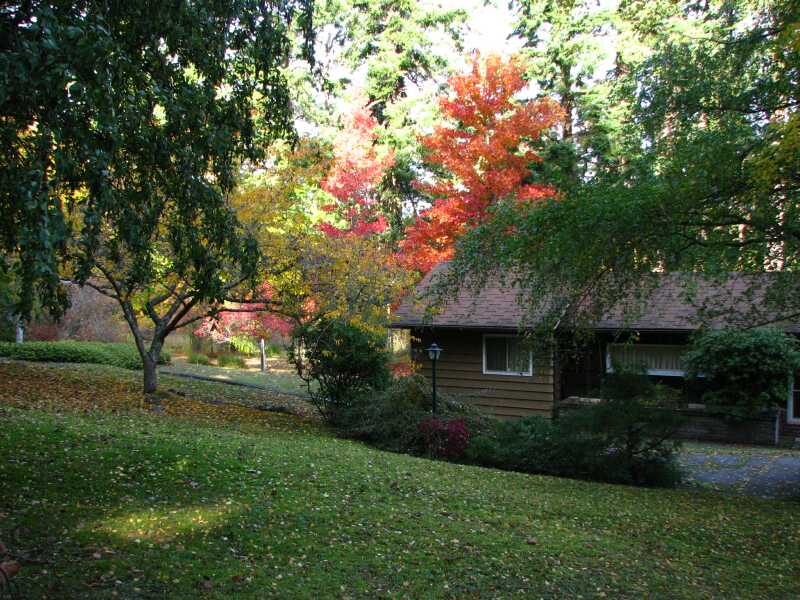 Colors around the house.
