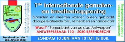sized_Banner 1ste Internationale garnalen en kreeftenhappening 10 Juni 20122.jpg