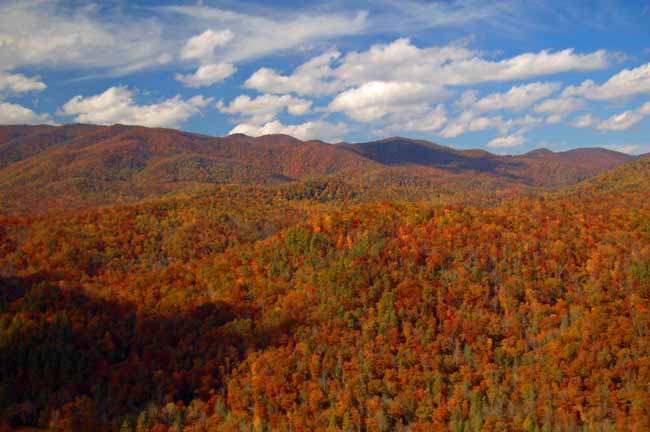 Pisgah National Forest