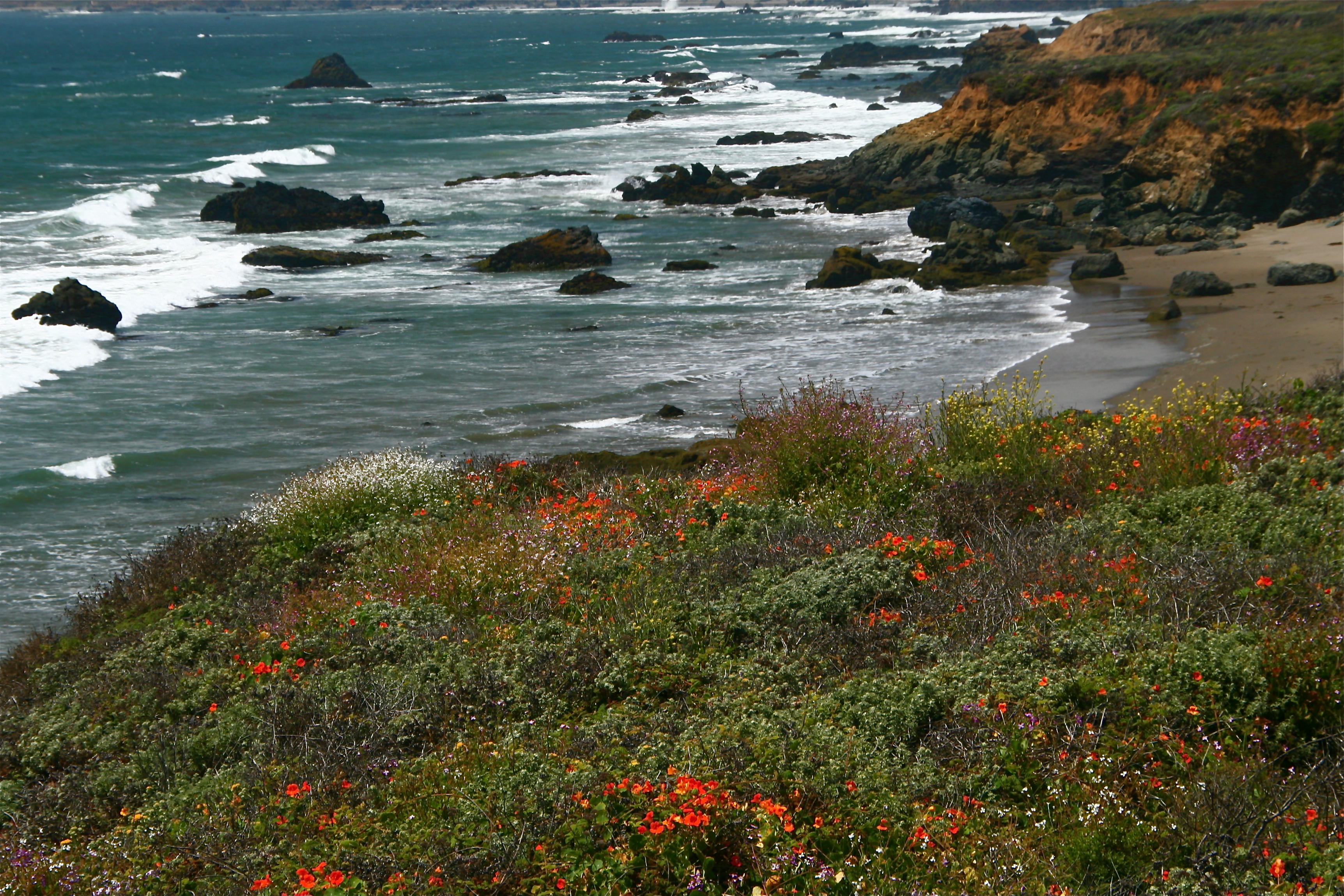 Another Beautiful Vista Point on Highway 1