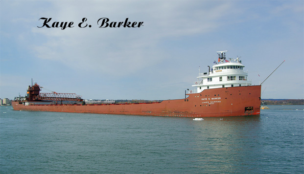 Kaye E. Barker  (8)