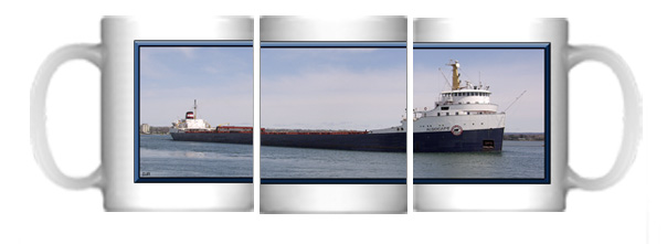 Algocape (full picture)