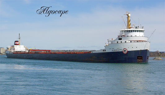 Algocape