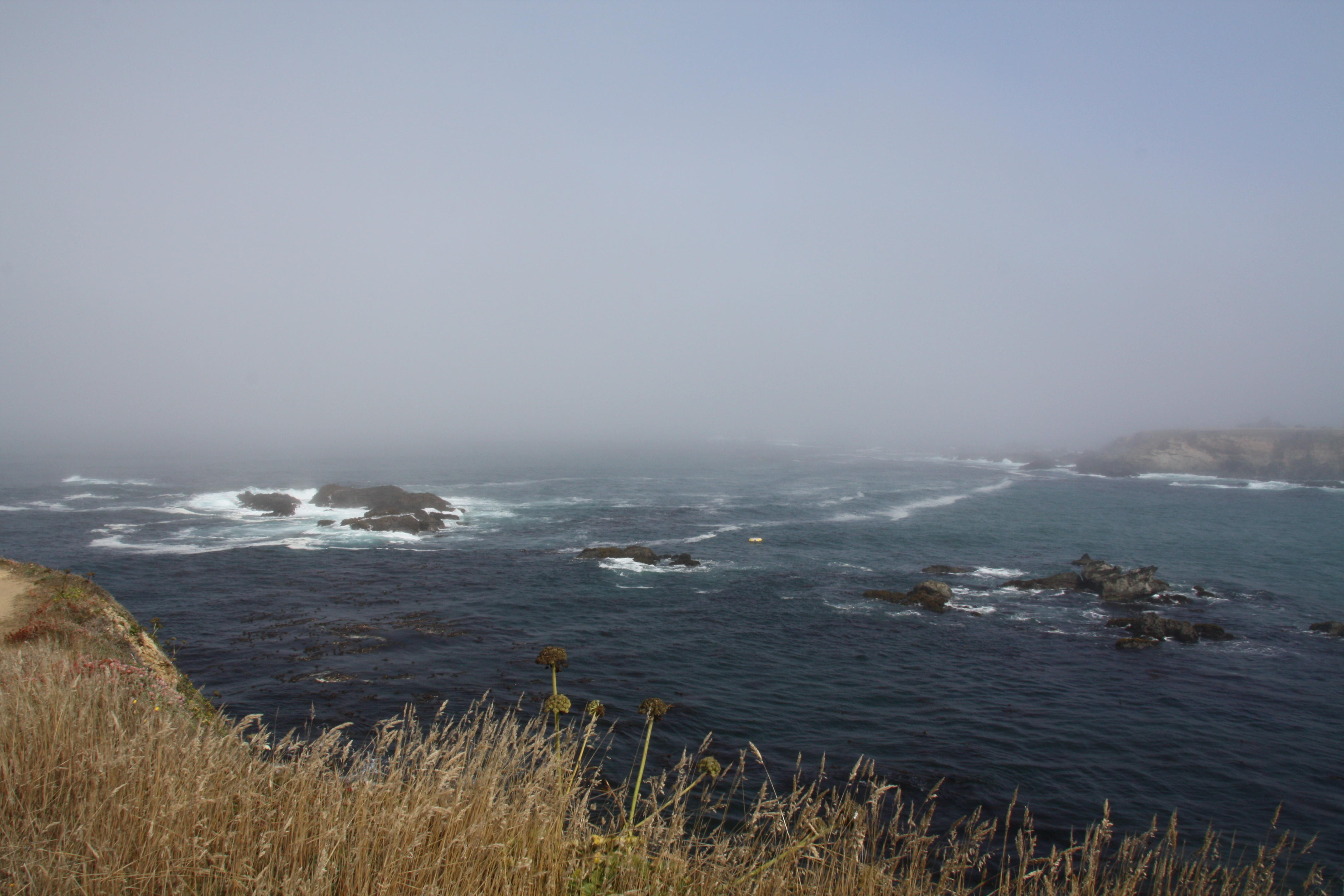 Jughandle State Reserve