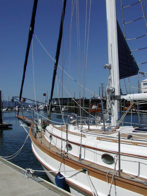 P7170011 (41).JPG