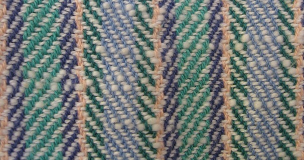 Cotton top closeup