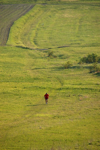 Jogging through the fields near Csíksomlyó