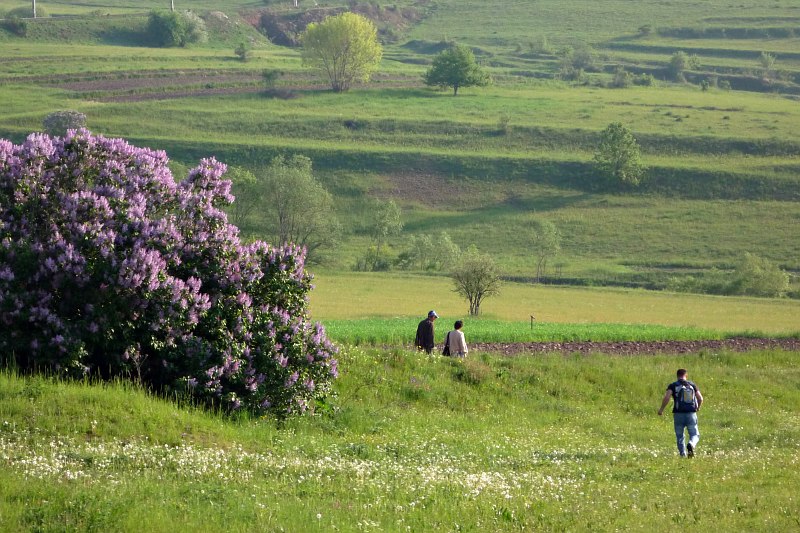 Near Nădejdea (from the train)