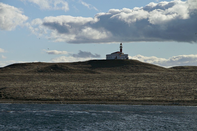 Isla Magdalena