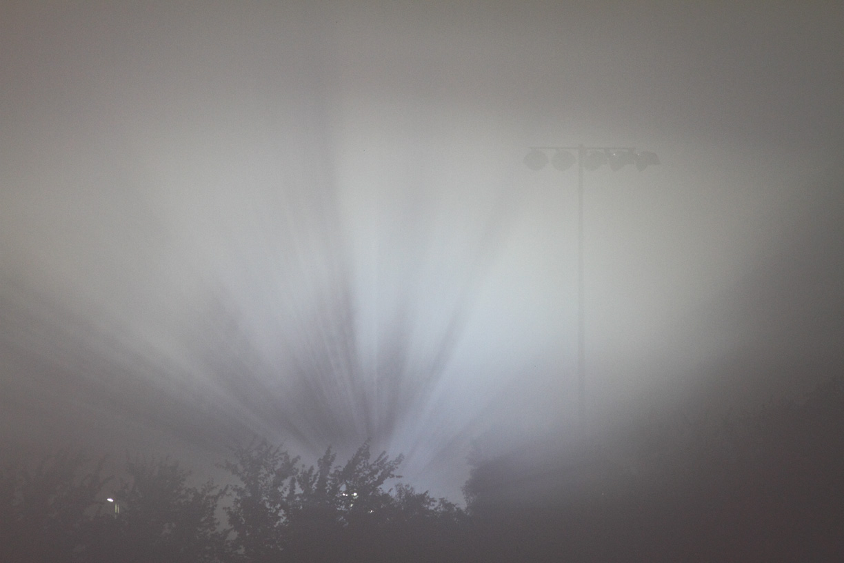 Fog Flash