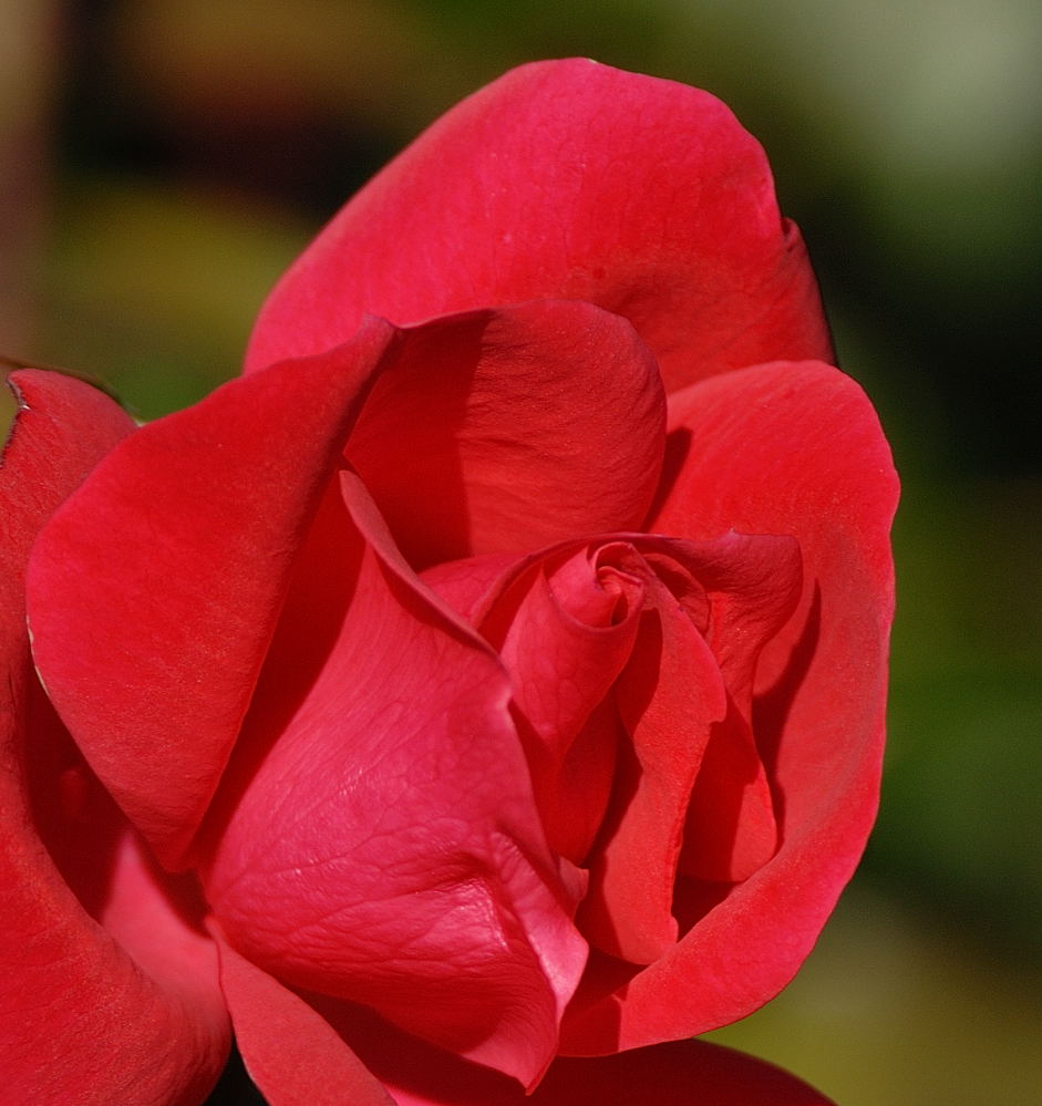 D25_0881.jpg