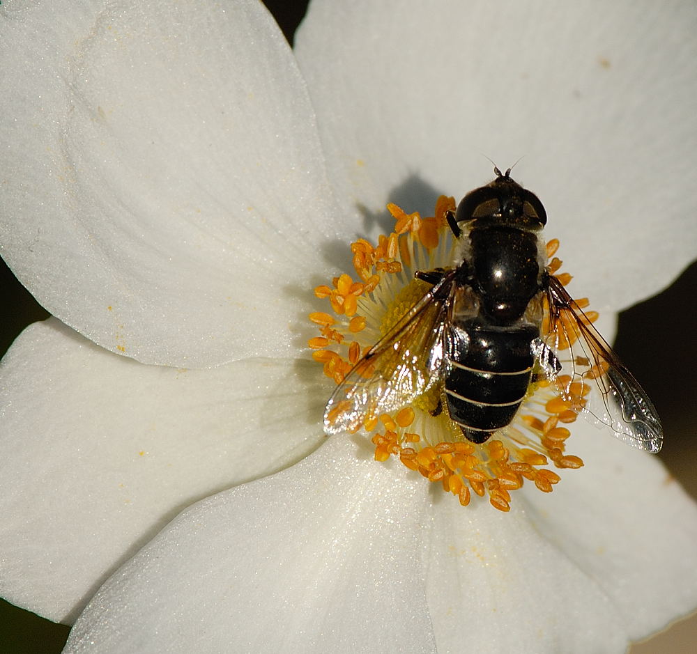 D25_0893.jpg