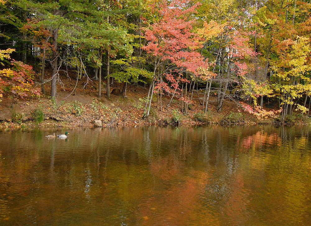 D25_0916.jpg
