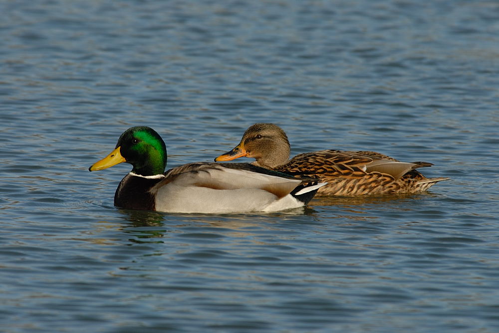 D25_1404.jpg