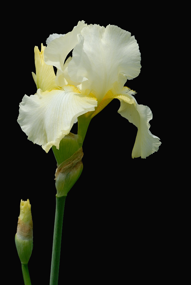 D25_8239 R.jpg