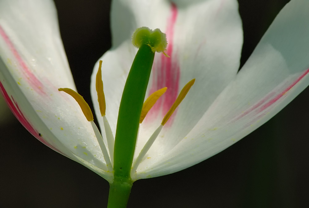 D27_4616.jpg