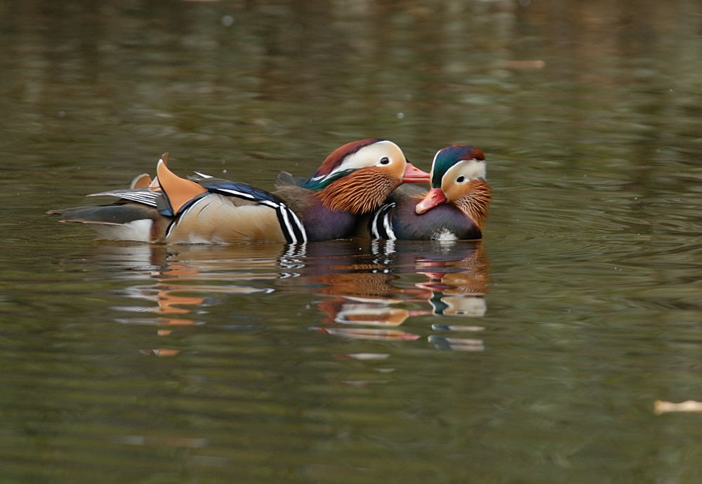 D28_6183.jpg