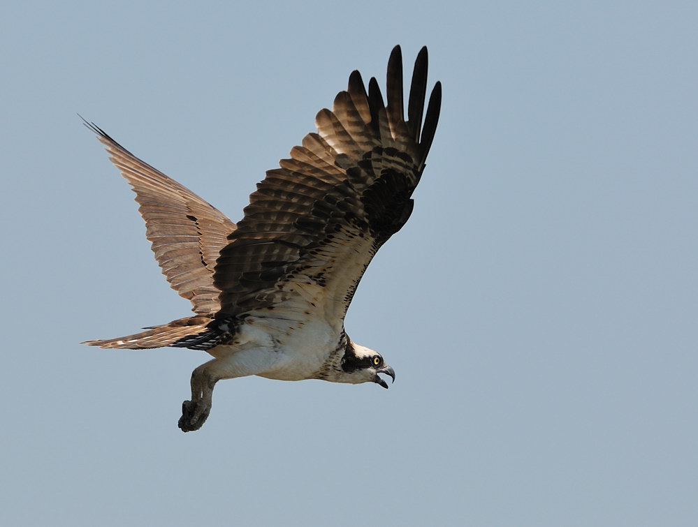 D32_8006.jpg