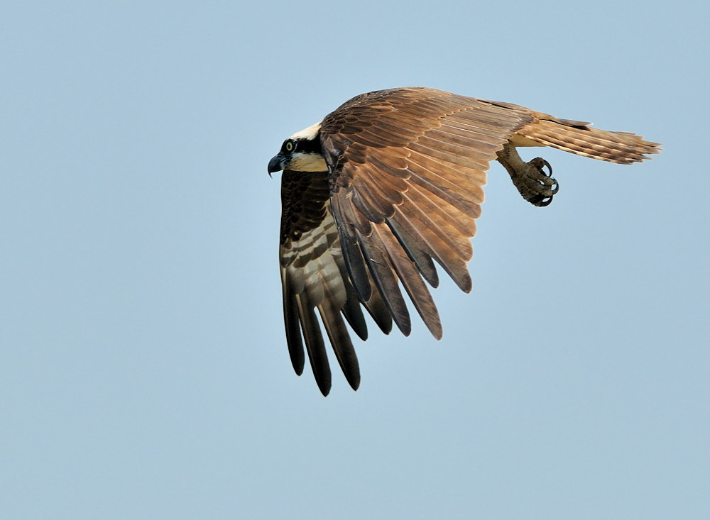 D32_8050.jpg