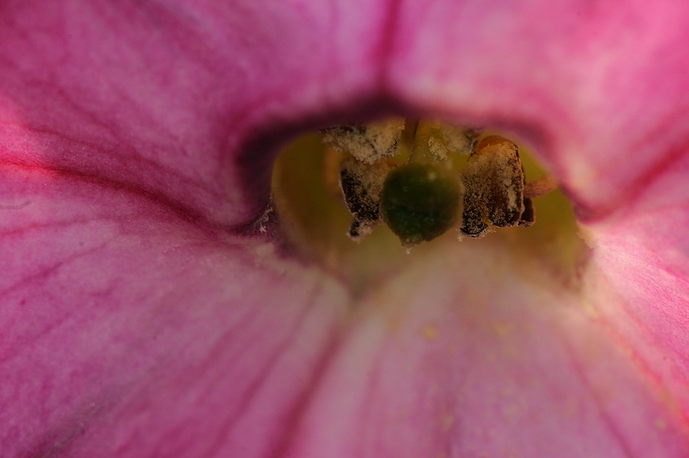 D32_7793.jpg