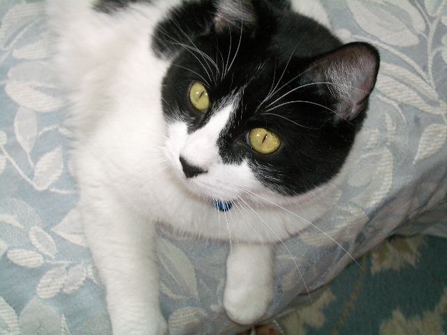Max Jun 2004