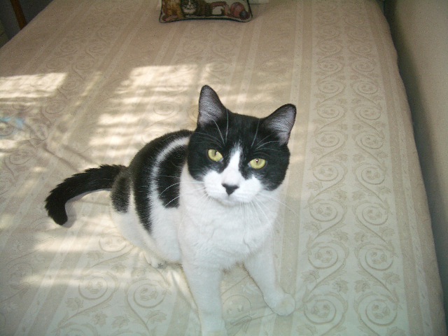 Max May 2006