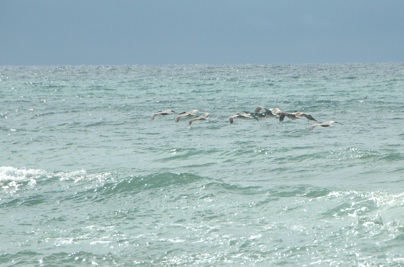 DSC_8174.JPG