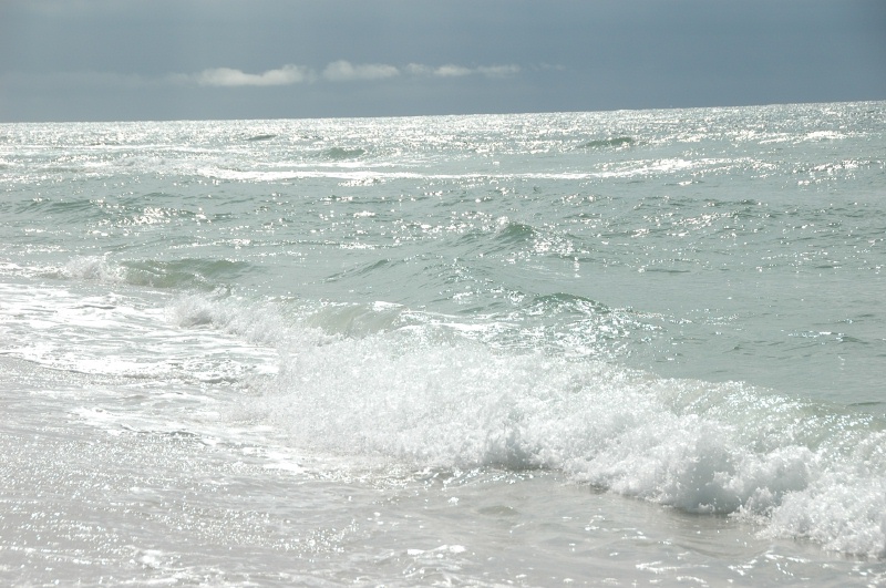 DSC_8196.JPG