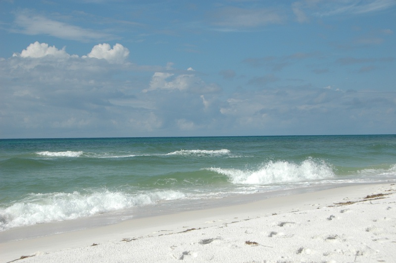 DSC_8336.JPG