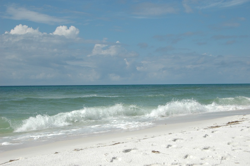 DSC_8338.JPG